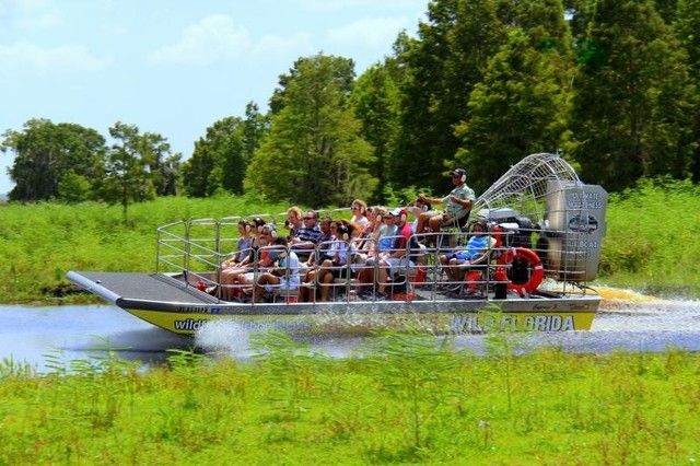 Orlando: Airboat Ride Tour with Hotel Pickup - What you might see on the water