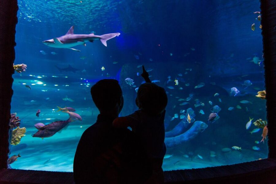 Orlando: All-Inclusive Pass with Kennedy Space Center - What the Orlando pass really includes