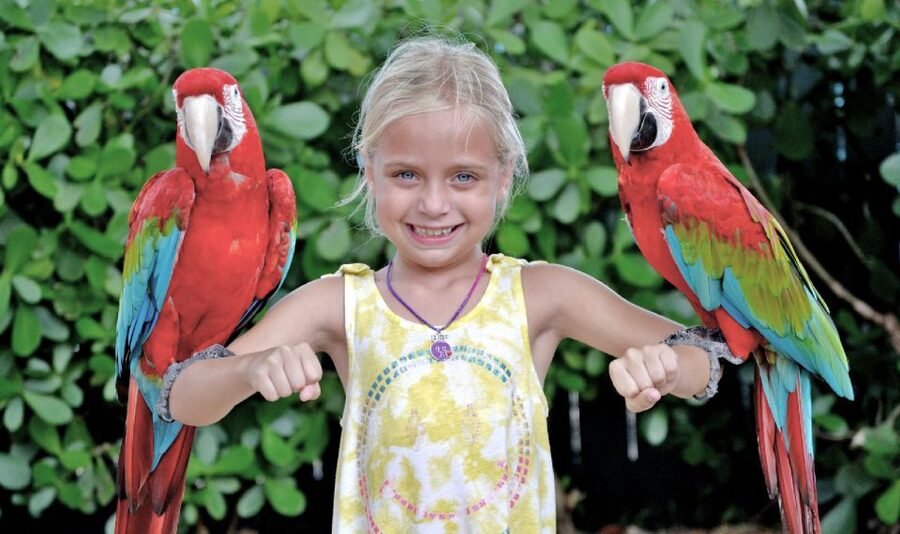 Orlando: All-Inclusive Pass with Kennedy Space Center - Orlando attractions for shorter days