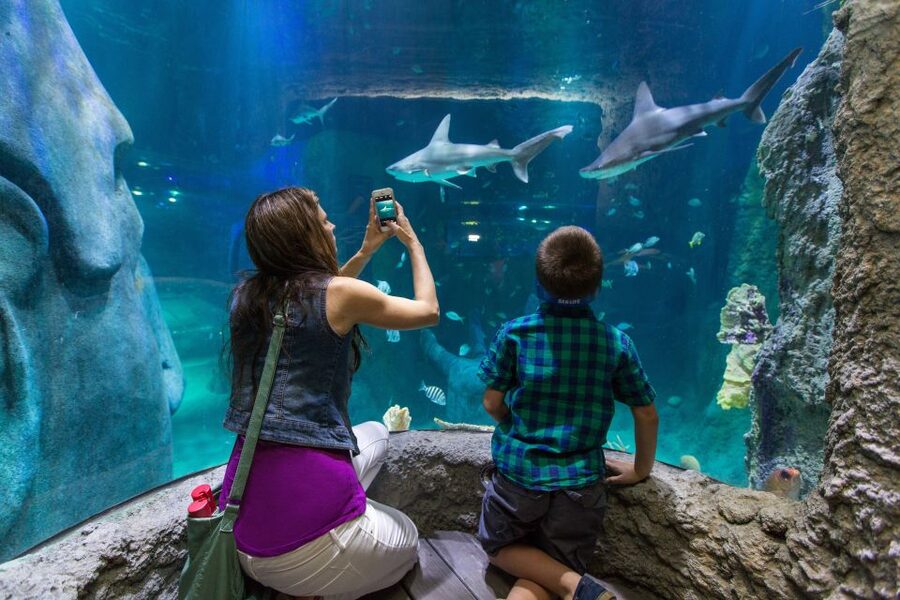 Orlando: All-Inclusive Pass with Kennedy Space Center - The money question at $219 per person