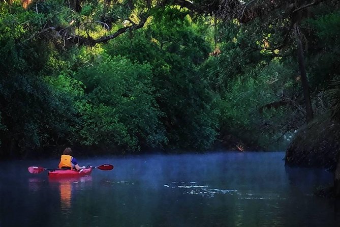 Orlando Alligator Experience - Key points to know before you book