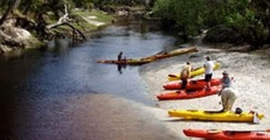 Orlando Alligator Experience: Day-Trip From Orlando - Key points to know before booking