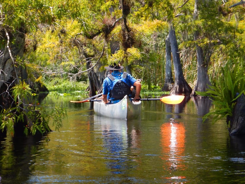 Orlando Alligator Experience: Day-Trip From Orlando - Paddling eight miles through alligator country