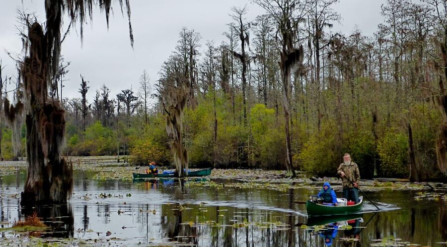 Orlando Alligator Experience: Day-Trip From Orlando - Price, group size, and what you receive