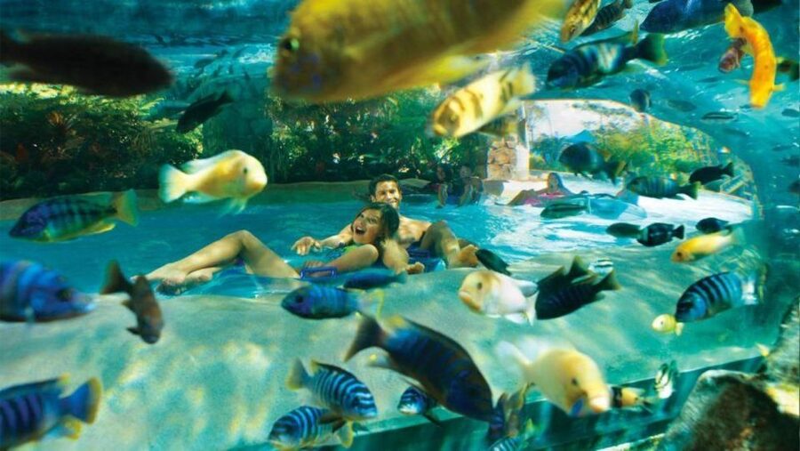 Orlando: Aquatica Water Park Admission Ticket - The best way to picture a day at Aquatica