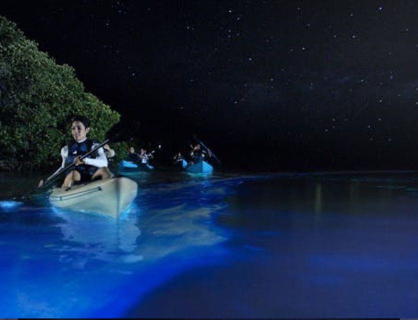 Orlando: Bioluminescence Clear Kayaking or Paddleboarding - Key points before you book
