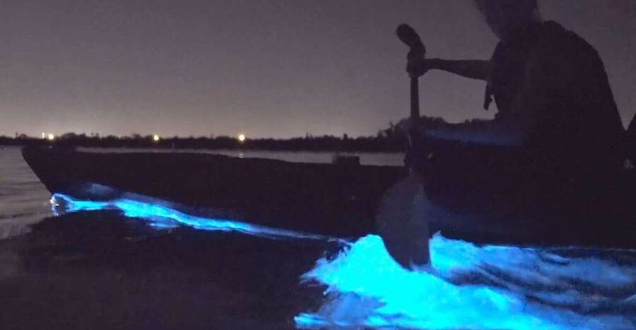 Orlando: Bioluminescence Clear Kayaking or Paddleboarding - The first lesson makes this suitable for beginners