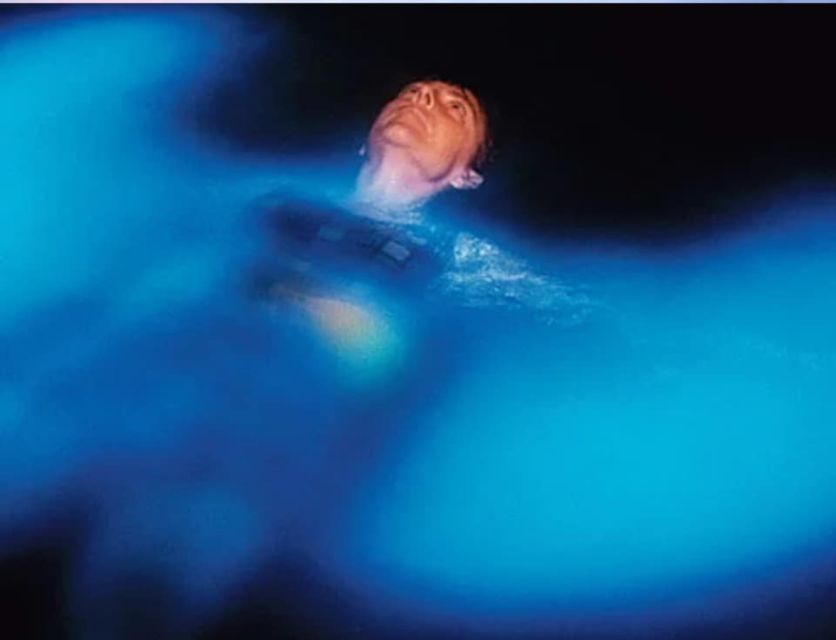 Orlando: Bioluminescence Clear Kayaking or Paddleboarding - How the water creates its blue sparks