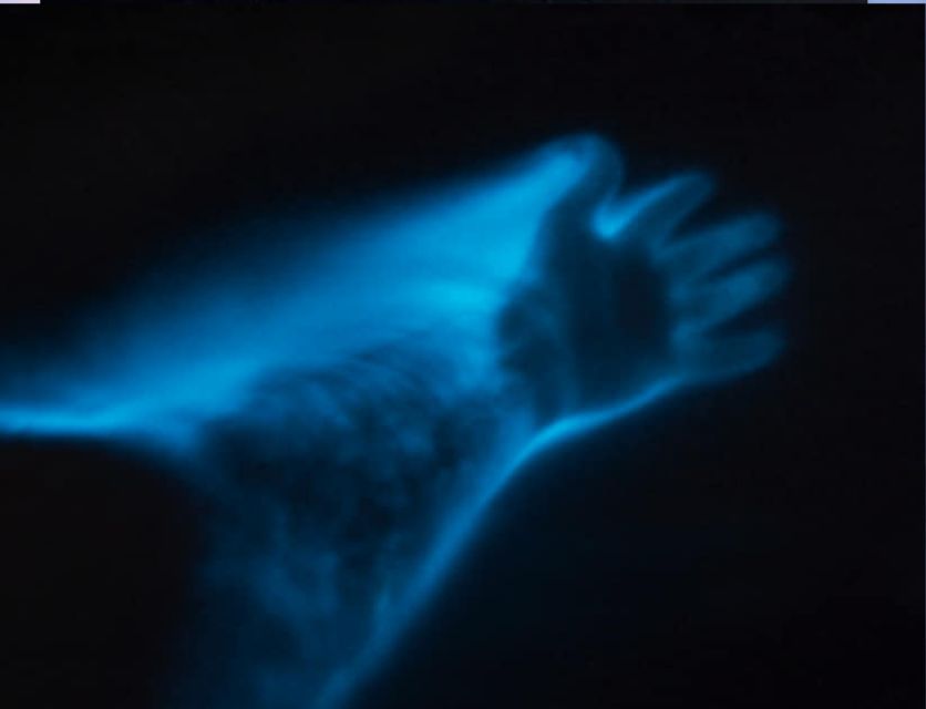 Orlando: Bioluminescence Clear Kayaking or Paddleboarding - Dinoflagellates are not the only seasonal attraction