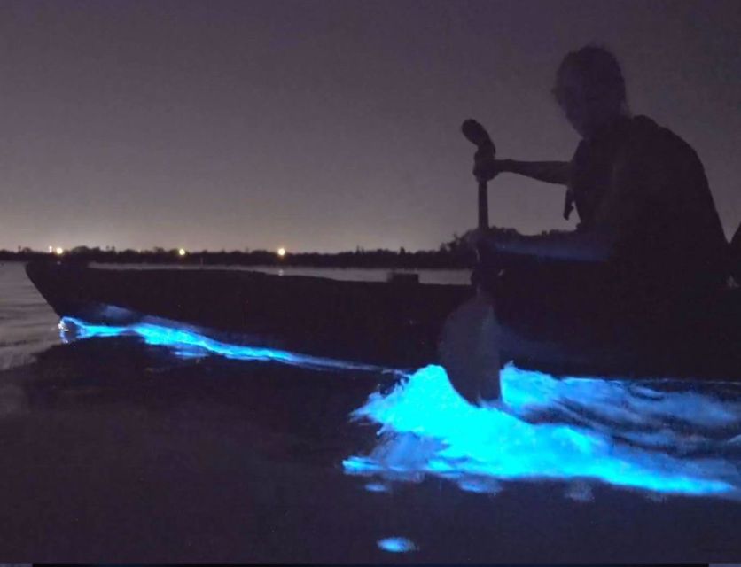 Orlando: Bioluminescence Clear Kayaking or Paddleboarding - Clothing, comfort, and small things that matter