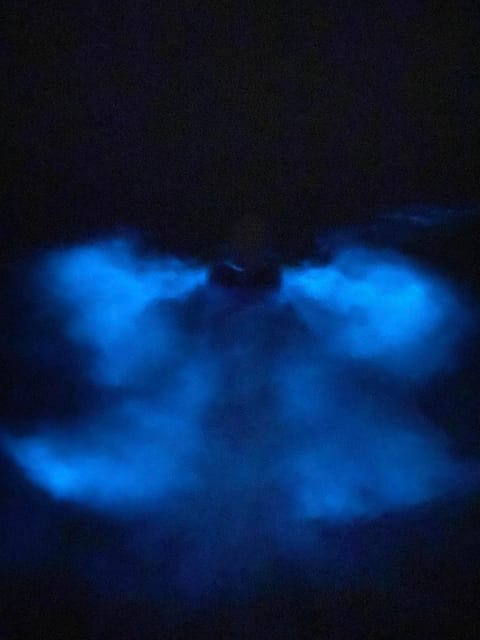 Orlando: Bioluminescence Kayak Tour - Blue-white water on the Banana River