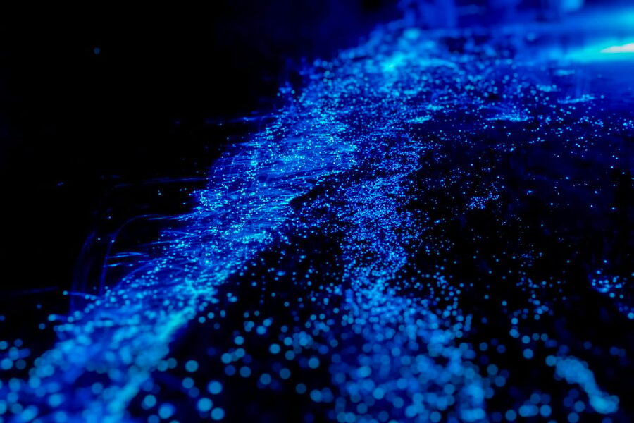 Orlando: Bioluminescence Kayak Tour - Why the guides matter after sunset