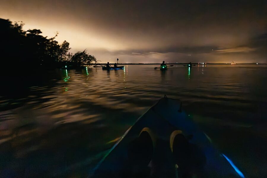 Orlando: Bioluminescence Kayak Tour - Is $86 a fair price?
