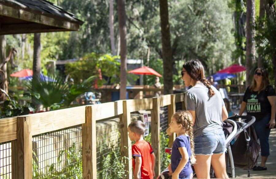 Orlando: Central Florida Zoo Skip-the-Line Ticket - Gardens, butterflies, and quieter pauses