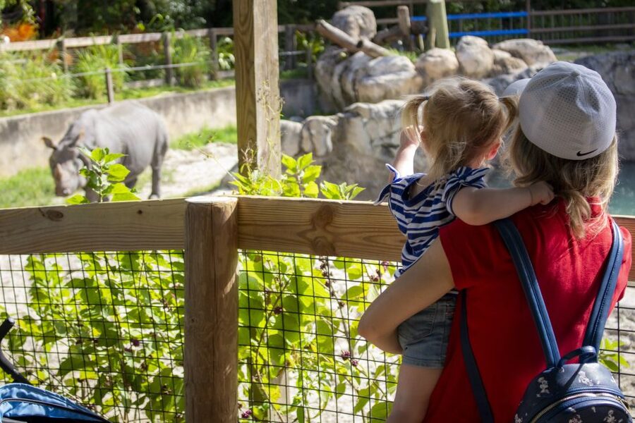 Orlando: Central Florida Zoo Skip-the-Line Ticket - Following the shaded paths through animal habitats