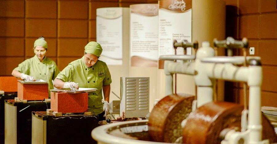 Orlando: Chocolate Kingdom Factory Adventure Tour - The opening story: prince, dragon, and cacao