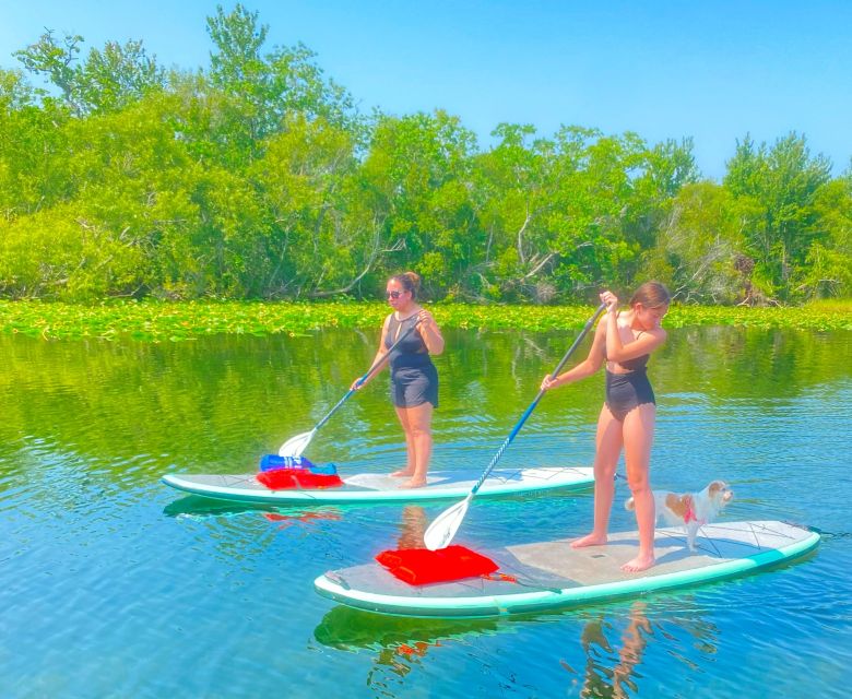 Orlando: Clear Kayak and Paddleboard 2-Hour Rental - The $45 price and what it covers
