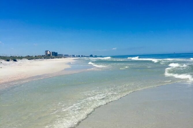 Orlando: Clearwater Beach, Dolphin Cruise Small Group Max 14 Tour - From Orlando attractions to the Gulf Coast