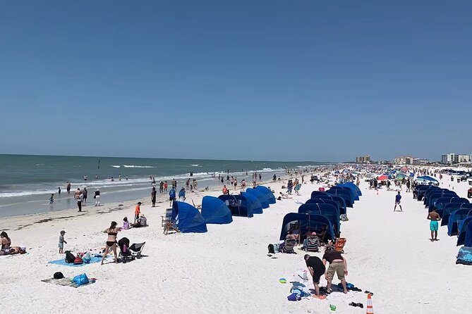 Orlando: Clearwater Beach, Dolphin Cruise Small Group Max 14 Tour - Who will get the most from this tour