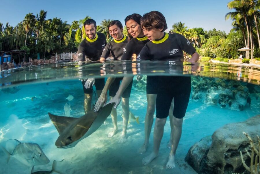 Orlando: Discovery Cove Admission Ticket & Additional Parks - The Grand Reef is the main event