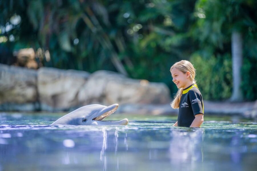 Orlando: Discovery Cove Admission Ticket & Additional Parks - How the 14-day park option changes the value
