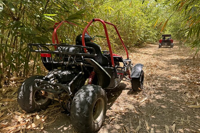 Orlando Dune Buggy Tour - Mud, sand, and Florida countryside near St. Cloud