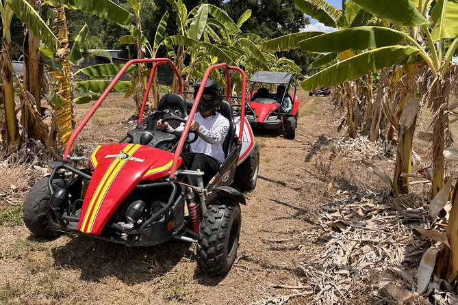 Orlando Dune Buggy Tour - Sharing one buggy and choosing who drives
