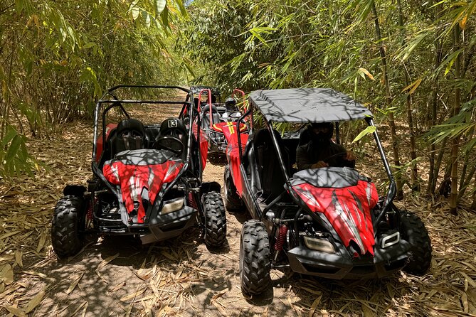 Orlando Dune Buggy Tour - Is $89.99 a fair price?