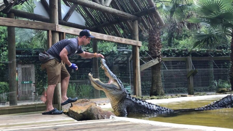 Orlando: Everglades Airboat Ride and Wildlife Park Ticket - Who will enjoy this most?
