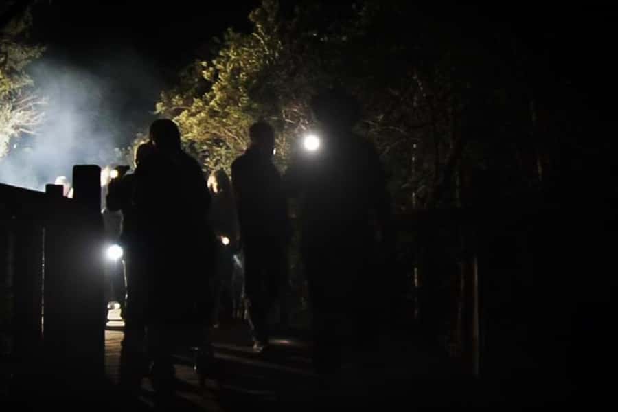 Orlando: Gatorland Flashlight Tour at Night - Key points about the nighttime marsh walk