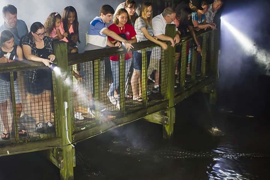 Orlando: Gatorland Flashlight Tour at Night - Walking the wooden path through the breeding marsh