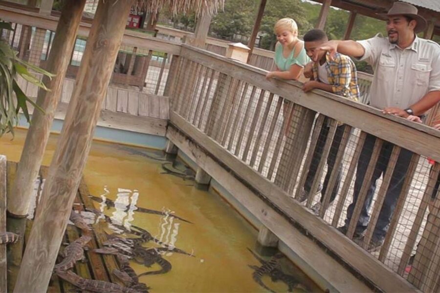 Orlando: Gatorland Interactive Tour with Animal Trainer - Meeting Gatorland’s larger reptiles