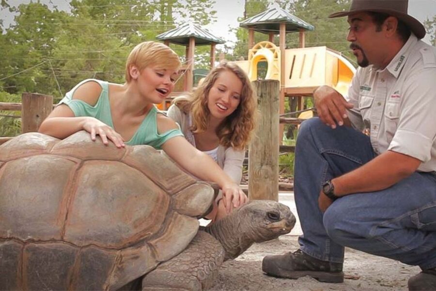 Orlando: Gatorland Interactive Tour with Animal Trainer - Starting small with a baby alligator