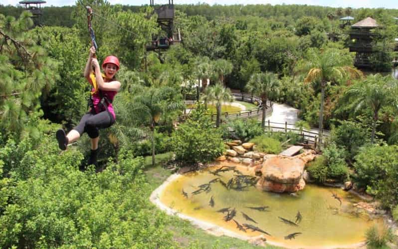 Orlando: Gatorland Zipline Adventure w/ Full-Day Park Access - Should you book the Gatorland zipline?