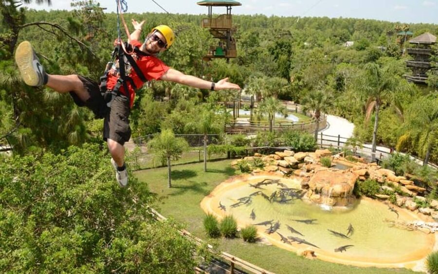 Orlando: Gatorland Zipline Adventure w/ Full-Day Park Access - Cuban and Nile crocodiles from a higher point of view