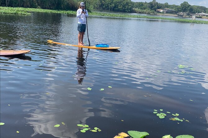 Orlando Manatee and Olde Florida History Adventure Tour - Key points to know before booking