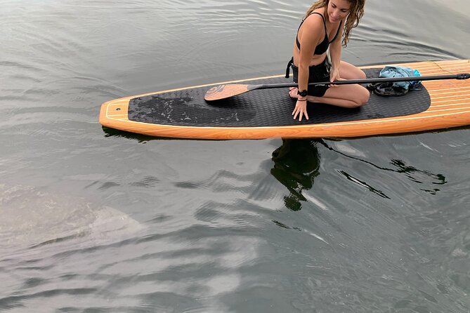 Orlando Manatee and Olde Florida History Adventure Tour - Why the St. Johns River makes this more than a paddle outing