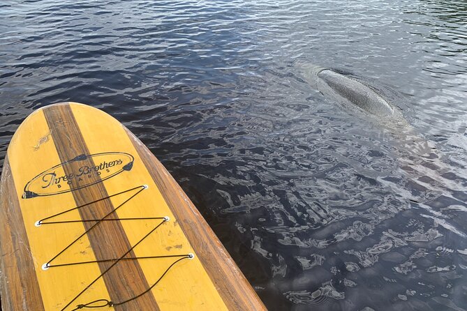 Orlando Manatee and Olde Florida History Adventure Tour - Seth’s guiding style and the value of interpretation