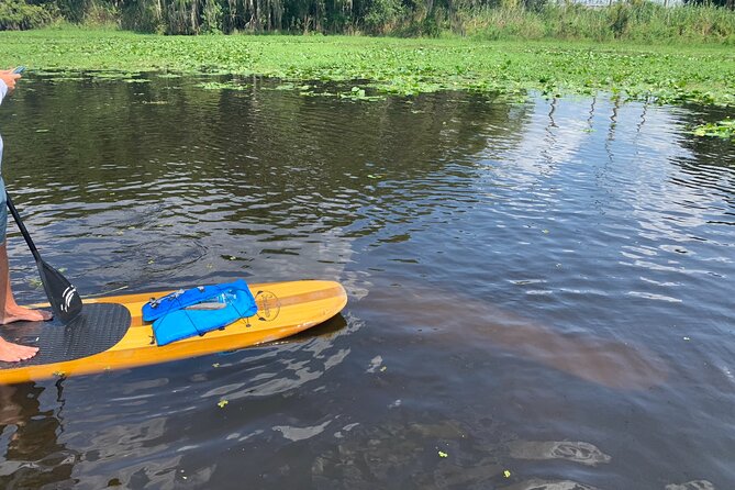 Orlando Manatee and Olde Florida History Adventure Tour - Paddle board or kayak: choosing the right fit
