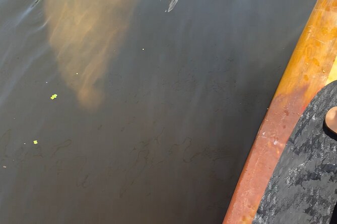 Orlando Manatee and Olde Florida History Adventure Tour - Who will enjoy this Orlando alternative