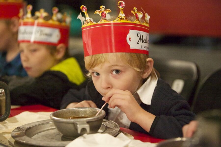 Orlando: Medieval Times Dinner and Show Ticket - Key points to know before booking