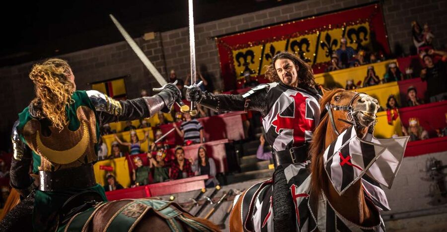 Orlando: Medieval Times Dinner and Show Ticket - Six colored sections and one knight to support