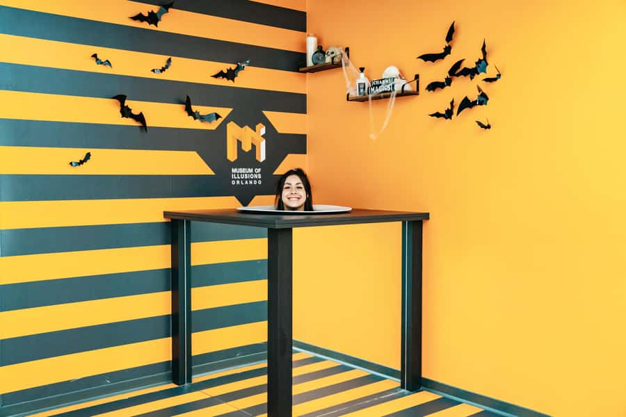 Orlando: Museum of Illusions Admission Ticket - Who will enjoy it most
