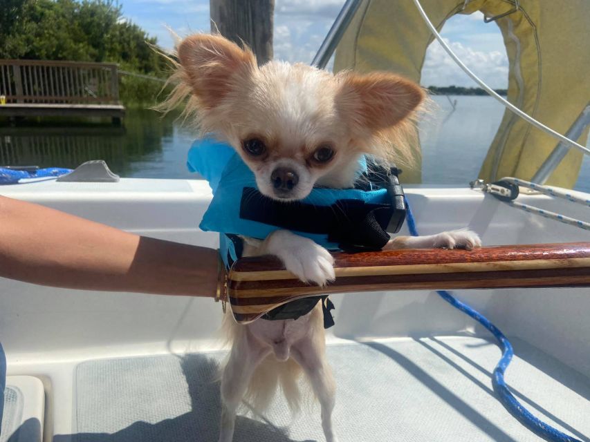 Orlando: Sailing Tour with Certified Sailing Instructor - Who will enjoy this sailing experience
