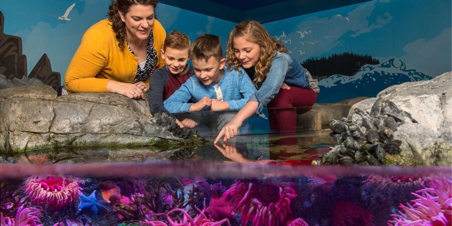 Orlando: SEA LIFE Orlando Aquarium - Family appeal is high, but expectations matter