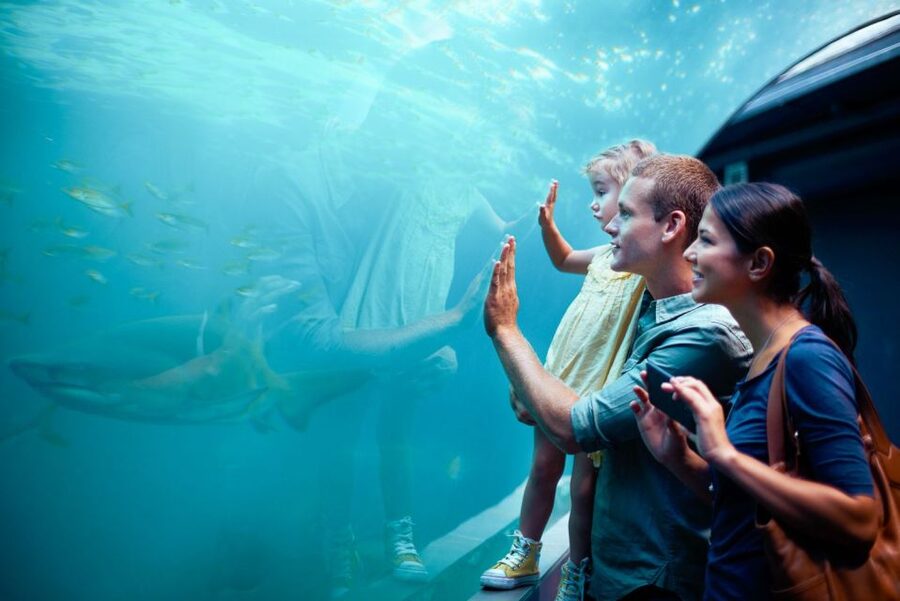 Orlando: SEA LIFE Orlando Aquarium - Expect a self-guided route, with optional extras