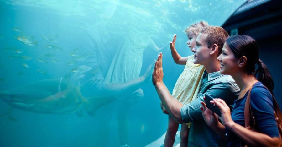 Orlando: SEA LIFE Orlando Aquarium - The shark virtual reality experience takes 10 minutes