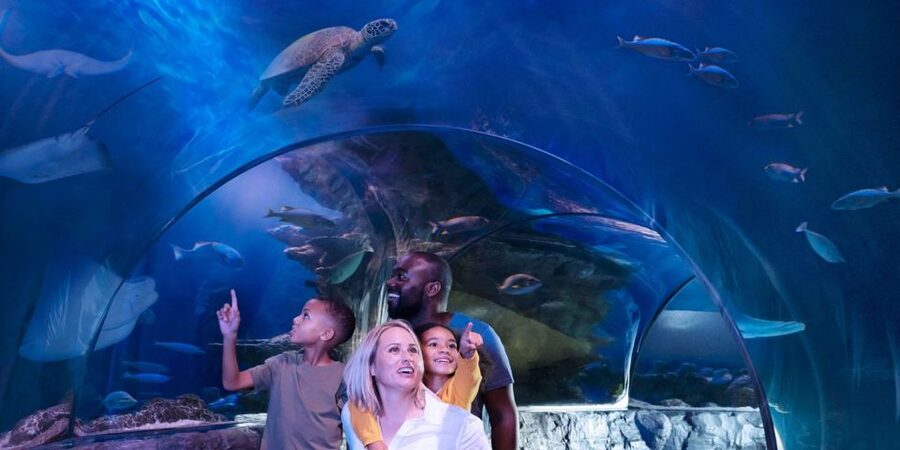 Orlando: SEA LIFE Orlando Aquarium - How long should you allow?