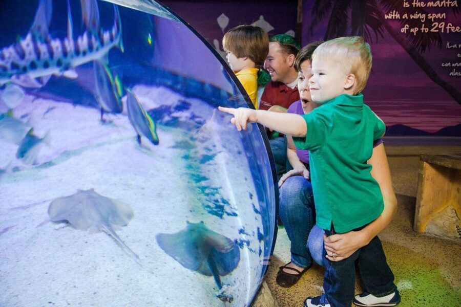 Orlando: SEA LIFE Orlando Aquarium - What the $30 price means for value