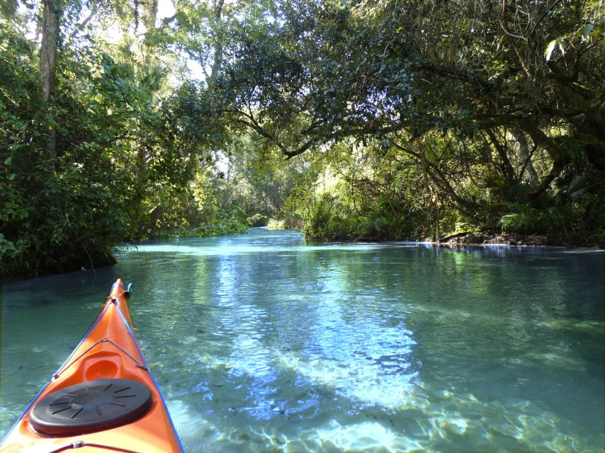 Orlando: Small Group Rock Springs Run Kayak Tour - Why Rock Springs Run is worth leaving Orlando for